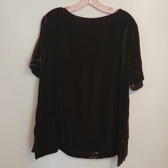 Sundance Velvet Short Sleeve Tee - Rich Chocolate - Picture 5 of 10